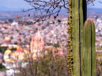 San Miguel de Allende